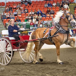 Profile Picture of Lisa Heintz VanderWall (Lisa Heintz) (@lisa.h.vanderwall) on Facebook