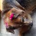 Profile Picture of Loretta Anderson (@purplerilee) on Pinterest