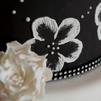 Profile Picture of Michelle Scher (@michelle-scher) on Quora