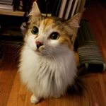 Profile Picture of Rebecca Lavoie (@daora_the_sorceress) on Instagram