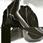 Profile Picture of Liam Hines (@kurthror) on Instagram