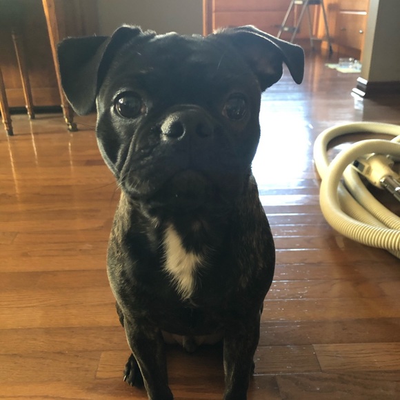 Profile Picture of Alicia Ciolfi (@ciolfi1985) on Poshmark