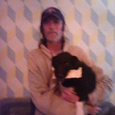 Profile Picture of Colin Hopton -Pugh (@HoptonPugh) on Twitter