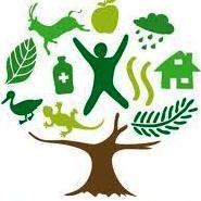 Profile Picture of Anand Acharya (@anand4green) on Twitter