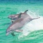 Profile Picture of Ralf Wilhelm (@ralf.wilhelm.503) on Facebook