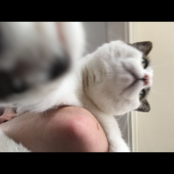 Profile Picture of Julia Cameron (@wfcaselover) on Poshmark