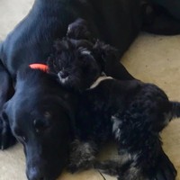 Profile Picture of Chad Sproles (@chad-sproles-1) on Quora