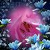 Profile Picture of Anisha Baksh (@omati.baksh) on Facebook