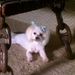 Profile Picture of Lorrie Lewis- Howell-Red (@red6957) on Pinterest