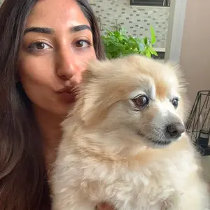 Profile Picture of Myshal Zaheer (@myshalzaheer) on Tiktok