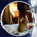 Profile Picture of Ralph Thorpe (@ralph.thorpe.359) on Facebook
