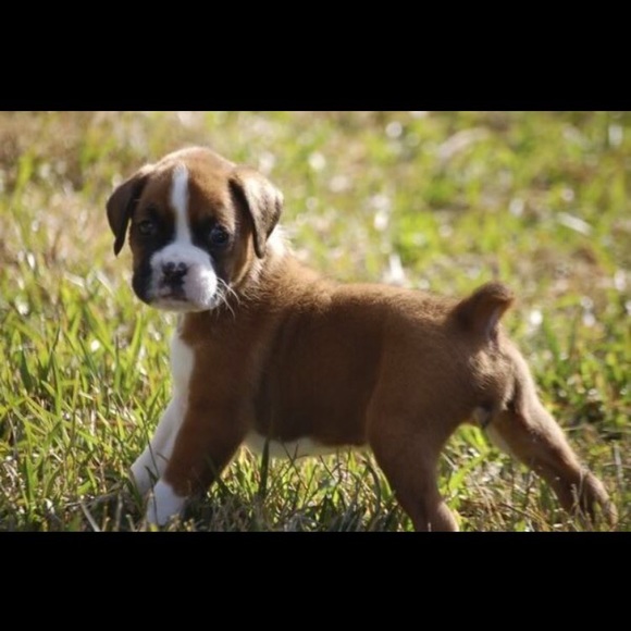 Profile Picture of Chad Berry (@cberry38) on Poshmark