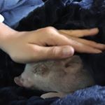 Profile Picture of Jim Glowacki (@jimglowacki) on Instagram