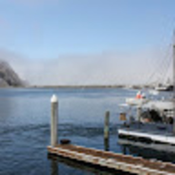 Profile Picture of Well Sam (@wellsam2024) on Poshmark