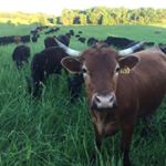 Profile Picture of Matt Maier (@mattgmaier) on Instagram