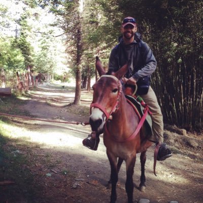 Profile Picture of Ryan Fuller (@_tree_line) on Twitter