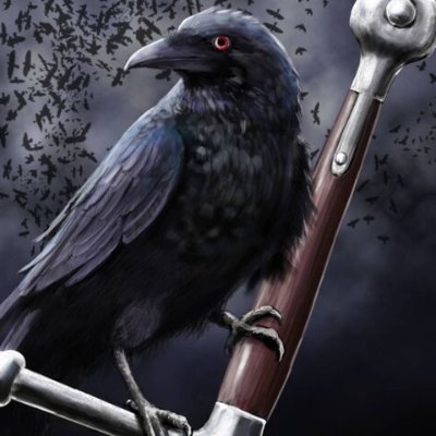 Profile Picture of Raven_Longon Twitter