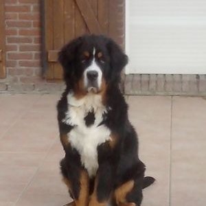 Profile Picture of Loy Lancelle (@lancelle_sarah) on Twitter