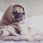 ryan overington - Instagram Profile Picture of ryan overington (@overingtonryan) on Instagram