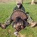 Profile Picture of Joey Ballengee (@ballboyjoey11) on Pinterest
