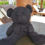 leah hoblitzell - Instagram Profile Picture of leah hoblitzell (@hoblitzellleah) on Instagram