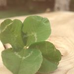 Profile Picture of Jordyn Clark (@jordynmclark1973) on Instagram