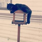 Profile Picture of Greg Alderman (@greg66ald) on Instagram