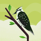 Profile Picture of Joshua Bowley (@JoshuaBowley) on Youtube