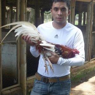 Profile Picture of Paul Flores (@paul.flores.180) on Facebook