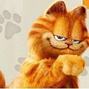 Profile Picture of Tom Xu (@tomxu2011) on Twitter