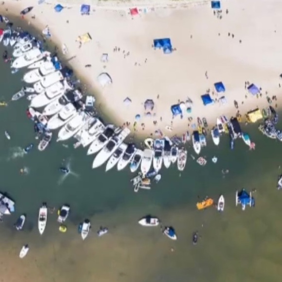 Profile Picture of Taylor Greer (@taylorinoz) on Poshmark