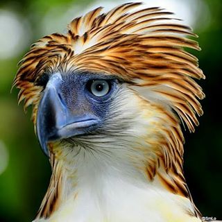 Profile Picture of Cecil Ison (@jayson.ison.12) on Facebook