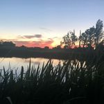 Profile Picture of Suzanne McFarland (@suz.at.claylake) on Instagram