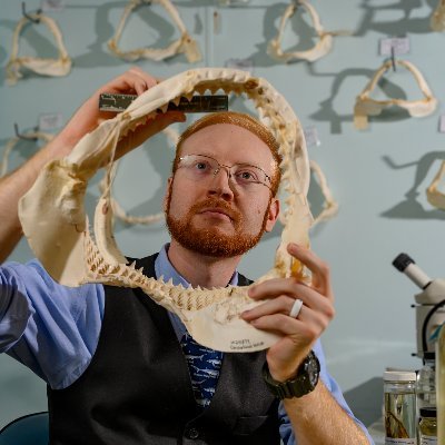 Profile Picture of Tyler Bowling (@Gobblers_n_Fins) on Twitter