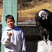 Lucas Ott - Youtube Profile Picture of Lucas Ott (@71Ott) on Youtube