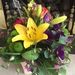Profile Picture of Sally Anne Lalor (@lalor0333) on Pinterest