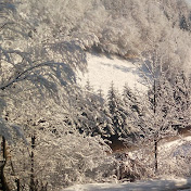 Profile Picture of Sead Hodzic (@seadhodzic206) on Youtube