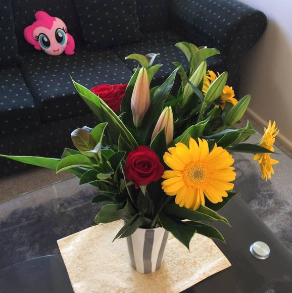 Profile Picture of Jo Dee (@jodee601) on Poshmark