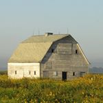 Profile Picture of Chuck Fleming (@chuckfleming1157) on Instagram