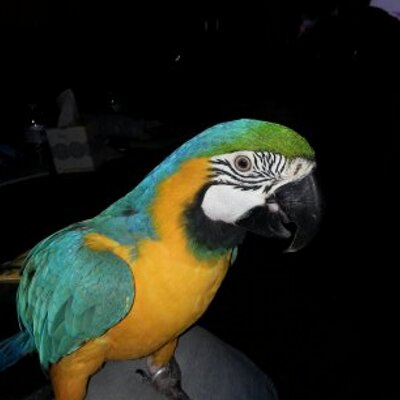 Profile Picture of Jean Richardson (@JeanStars840) on Twitter