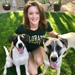 Profile Picture of Robin Thoreson (@robin.thoreson) on Instagram