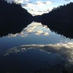 Profile Picture of Clayton Bradford (@disturbed_myself) on Instagram