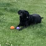 Profile Picture of Colin Talbot (@colin.talbot.5437) on Facebook