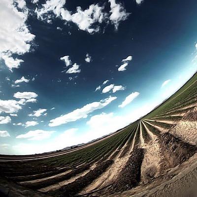 Profile Picture of Michael Zhong (@zhongzl36) on Twitter