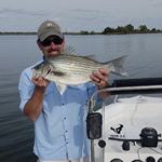 Kevin Tisdell - Instagram Profile Picture of Kevin Tisdell (@kevintisdell) on Instagram