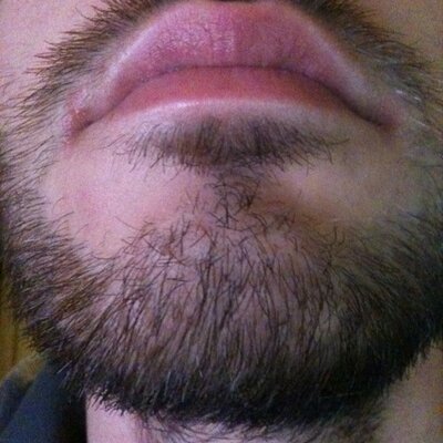 Profile Picture of Kyle Terry's Beard (@kyleterrysbeard) on Twitter