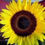 Profile Picture of Tracy Adkisson (@tracyadkisson7711) on Youtube