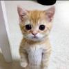 Profile Picture of elise owens (@@eliseowenss) on Tiktok