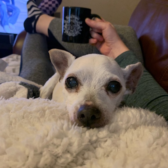 Profile Picture of Stephanie Thatcher (@thatches209) on Poshmark