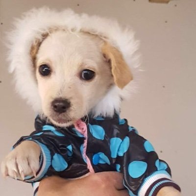 Profile Picture of Joseph Barkley (@Josephbarkley15) on Twitter
